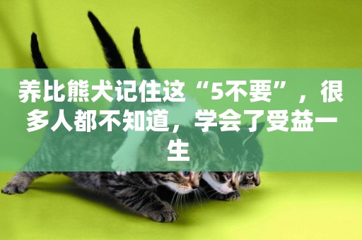 養比熊犬記住這“5不要”，很多人都不知道，學會了受益一生 