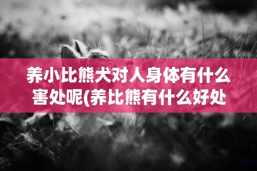養小比熊犬對人身體有什么害處呢(養比熊有什么好處) 