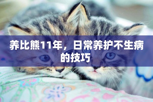養比熊11年，日常養護不生病的技巧 