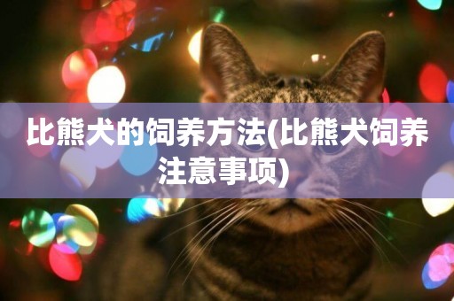 比熊犬的飼養方法(比熊犬飼養注意事項) 