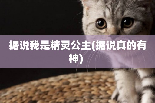 據說我是精靈公主(據說真的有神) 