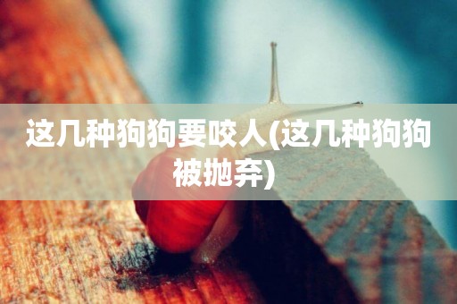 這幾種狗狗要咬人(這幾種狗狗被拋棄) 