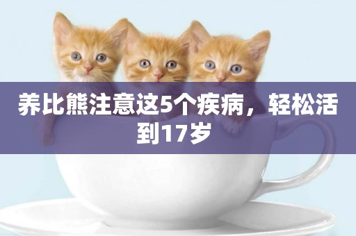 養比熊注意這5個疾病，輕松活到17歲 