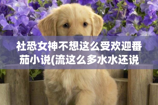 社恐女神不想這么受歡迎番茄小說(流這么多水水還說不想要小說) 