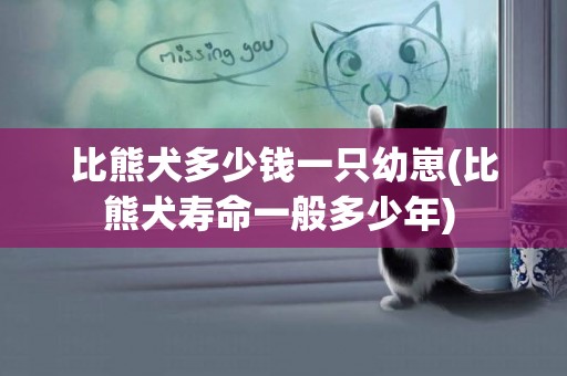 比熊犬多少錢一只幼崽(比熊犬壽命一般多少年) 