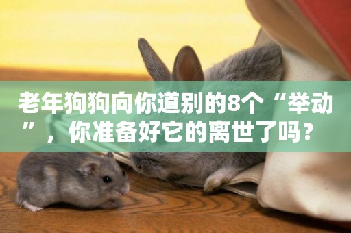 老年狗狗向你道別的8個“舉動”，你準備好它的離世了嗎？ 