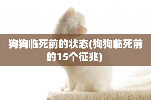 狗狗臨死前的狀態(狗狗臨死前的15個征兆) 