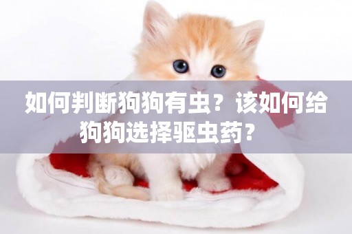 如何判斷狗狗有蟲？該如何給狗狗選擇驅蟲藥？ 