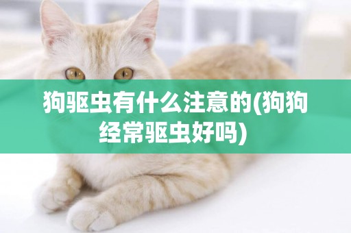 狗驅蟲有什么注意的(狗狗經常驅蟲好嗎) 