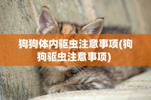 狗狗體內驅蟲注意事項(狗狗驅蟲注意事項) 