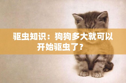 驅蟲知識：狗狗多大就可以開始驅蟲了？ 