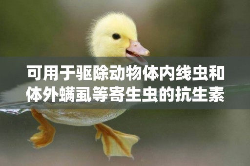 可用于驅除動物體內線蟲和體外螨虱等寄生蟲的抗生素是(狗狗體內有寄生蟲是什么癥狀) 