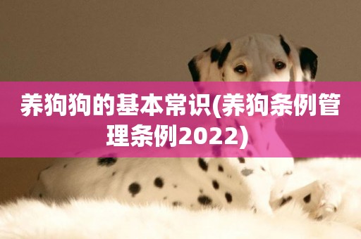 養狗狗的基本常識(養狗條例管理條例2022) 