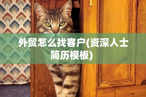 外貿怎么找客戶(資深人士簡歷模板) 