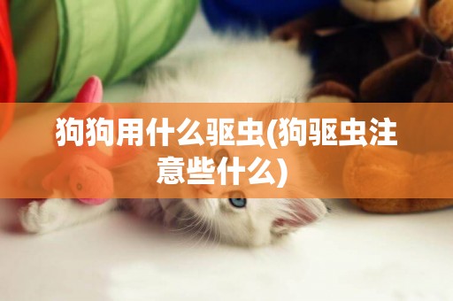狗狗用什么驅蟲(狗驅蟲注意些什么) 