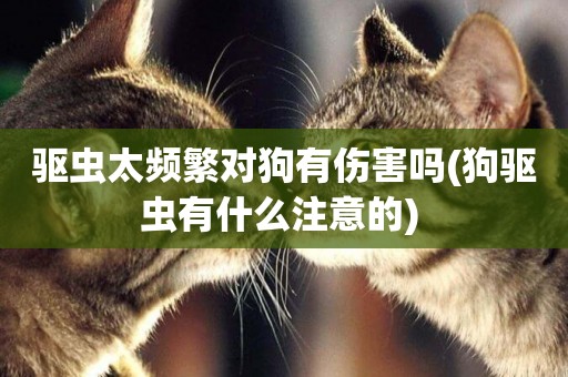 驅蟲太頻繁對狗有傷害嗎(狗驅蟲有什么注意的) 