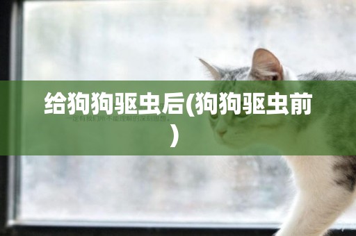 給狗狗驅蟲后(狗狗驅蟲前) 