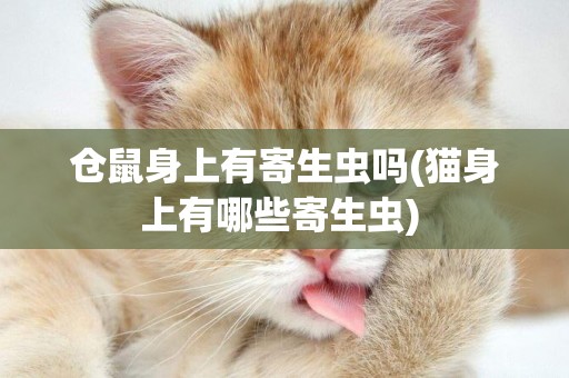 倉鼠身上有寄生蟲嗎(貓身上有哪些寄生蟲) 