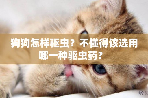 狗狗怎樣驅蟲？不懂得該選用哪一種驅蟲藥？ 