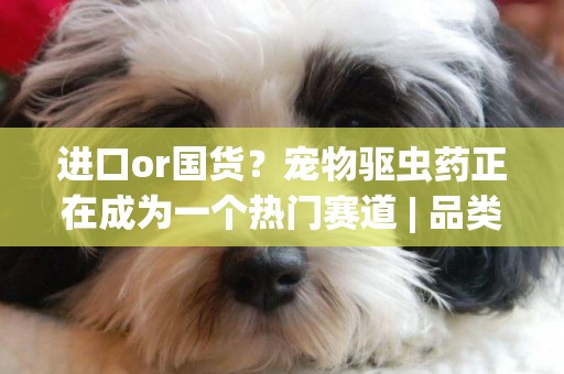 進口or國貨？寵物驅蟲藥正在成為一個熱門賽道 | 品類觀察室 