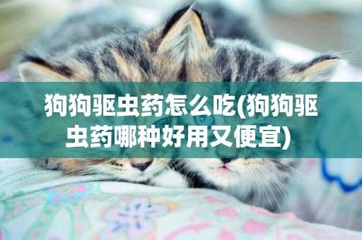 狗狗驅蟲藥怎么吃(狗狗驅蟲藥哪種好用又便宜) 
