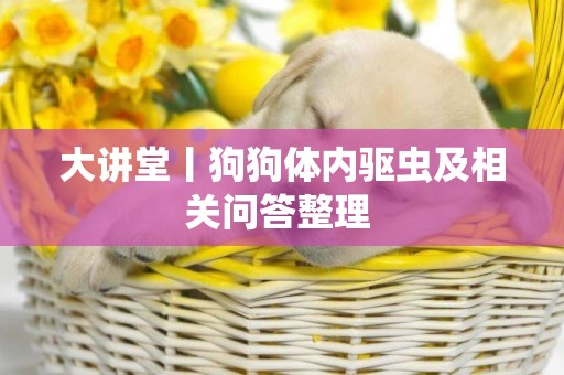 大講堂丨狗狗體內驅蟲及相關問答整理 