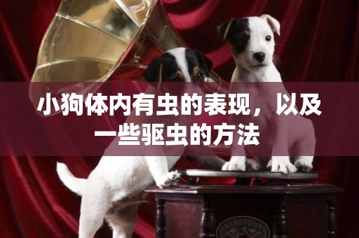 小狗體內有蟲的表現，以及一些驅蟲的方法 