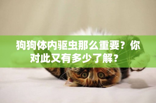 狗狗體內驅蟲那么重要？你對此又有多少了解？ 