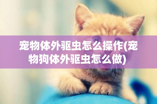 寵物體外驅蟲怎么操作(寵物狗體外驅蟲怎么做) 