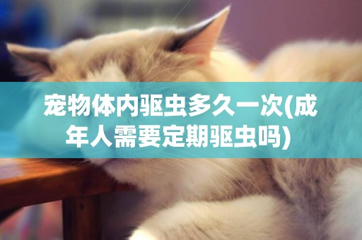 寵物體內驅蟲多久一次(成年人需要定期驅蟲嗎) 