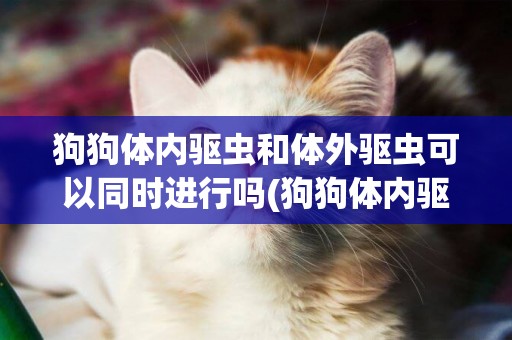 狗狗體內驅蟲和體外驅蟲可以同時進行嗎(狗狗體內驅蟲藥) 