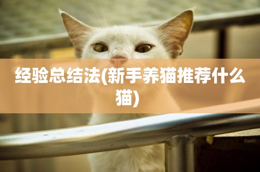 經驗總結法(新手養貓推薦什么貓) 