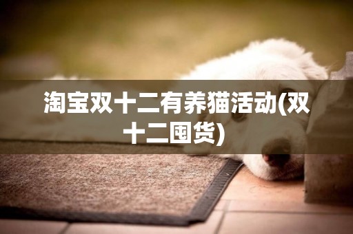 淘寶雙十二有養貓活動(雙十二囤貨) 
