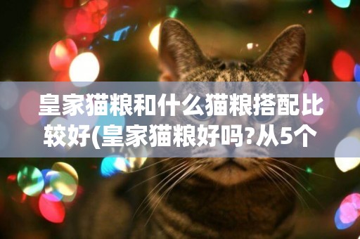 皇家貓糧和什么貓糧搭配比較好(皇家貓糧好嗎?從5個方面挑選合適的貓糧嗎) 