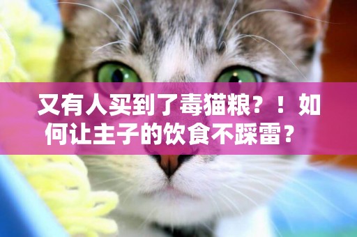 又有人買到了毒貓糧？！如何讓主子的飲食不踩雷？ 