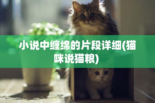 小說中纏綿的片段詳細(貓咪說貓糧) 