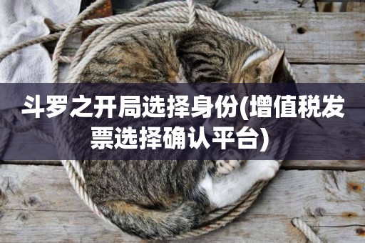 斗羅之開局選擇身份(增值稅發票選擇確認平臺) 