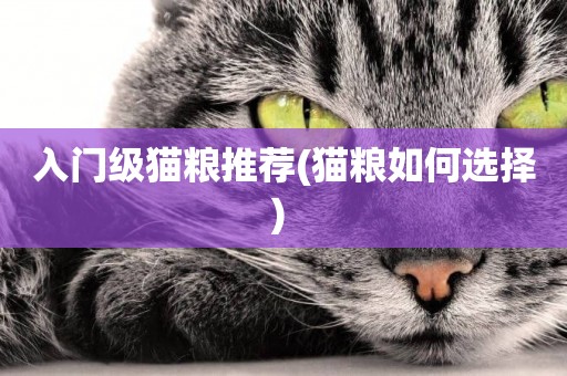 入門級貓糧推薦(貓糧如何選擇) 