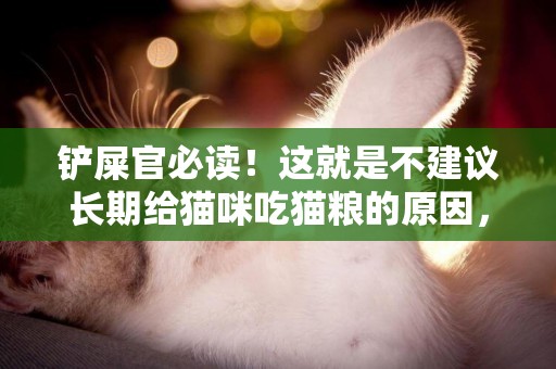 鏟屎官必讀！這就是不建議長期給貓咪吃貓糧的原因，建議收藏 