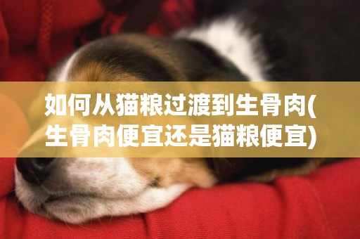 如何從貓糧過渡到生骨肉(生骨肉便宜還是貓糧便宜) 
