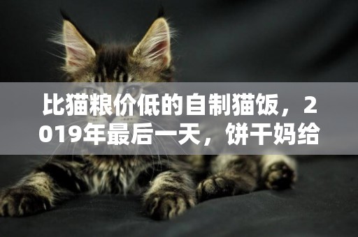 比貓糧價低的自制貓飯，2019年最后一天，餅干媽給主子來一頓大餐 
