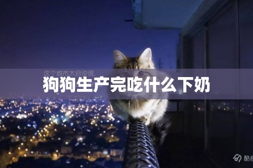 狗狗生產完吃什么下奶
