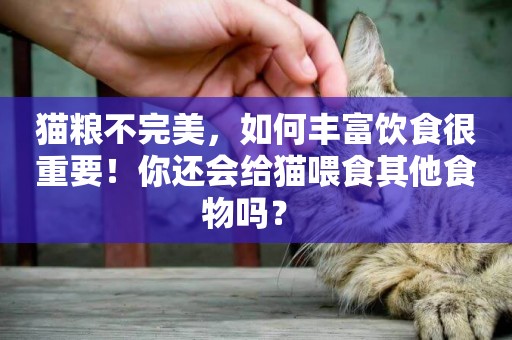 貓糧不完美，如何豐富飲食很重要！你還會給貓喂食其他食物嗎？ 
