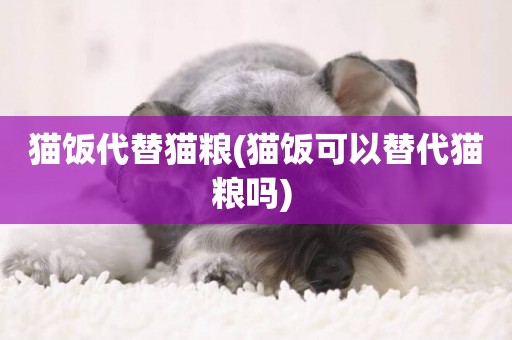 貓飯代替貓糧(貓飯可以替代貓糧嗎) 