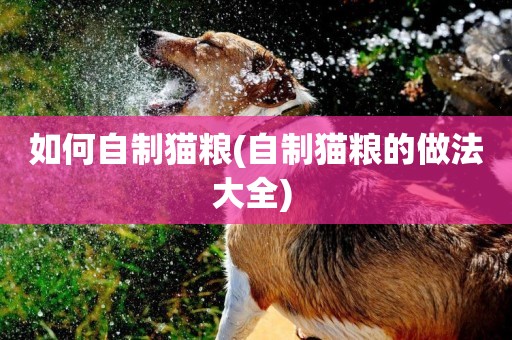 如何自制貓糧(自制貓糧的做法大全) 