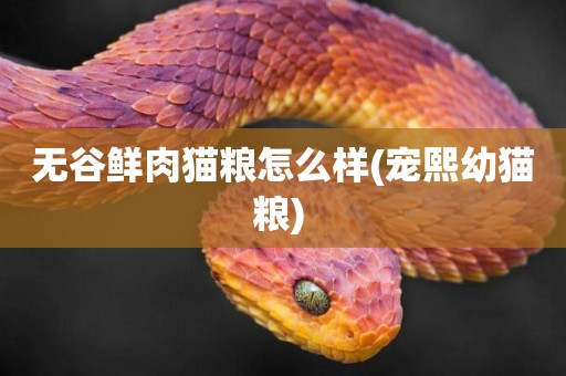 無谷鮮肉貓糧怎么樣(寵熙幼貓糧) 