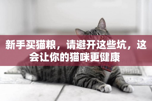新手買貓糧，請避開這些坑，這會讓你的貓咪更健康 