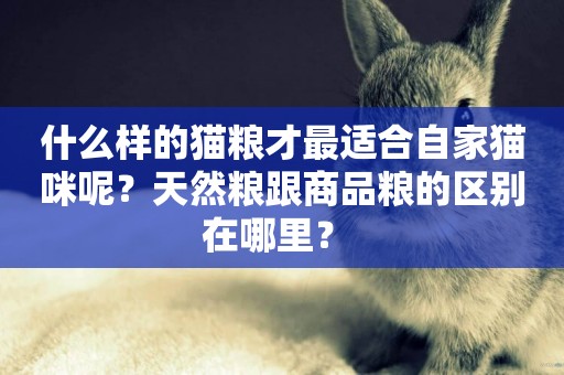 什么樣的貓糧才最適合自家貓咪呢？天然糧跟商品糧的區別在哪里？ 