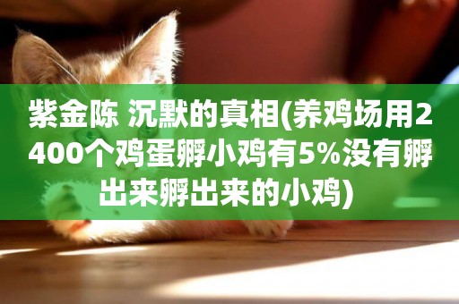 紫金陳 沉默的真相(養雞場用2400個雞蛋孵小雞有5%沒有孵出來孵出來的小雞) 