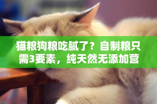 貓糧狗糧吃膩了？自制糧只需3要素，純天然無添加營養多味道好 